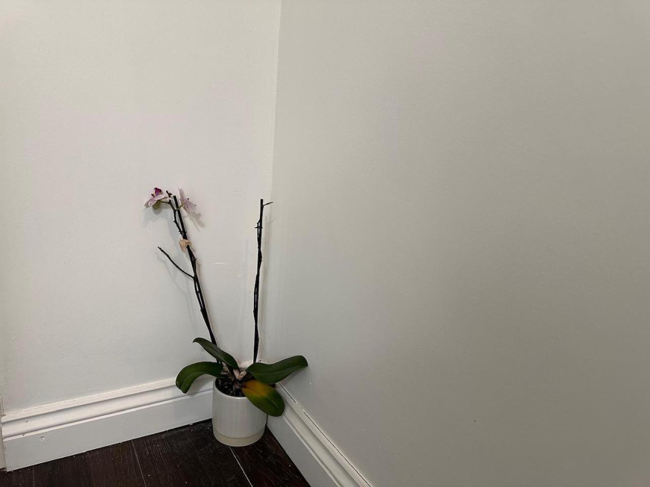 Stylish 1br W Fireplace & High-speed Wifi Appartamento